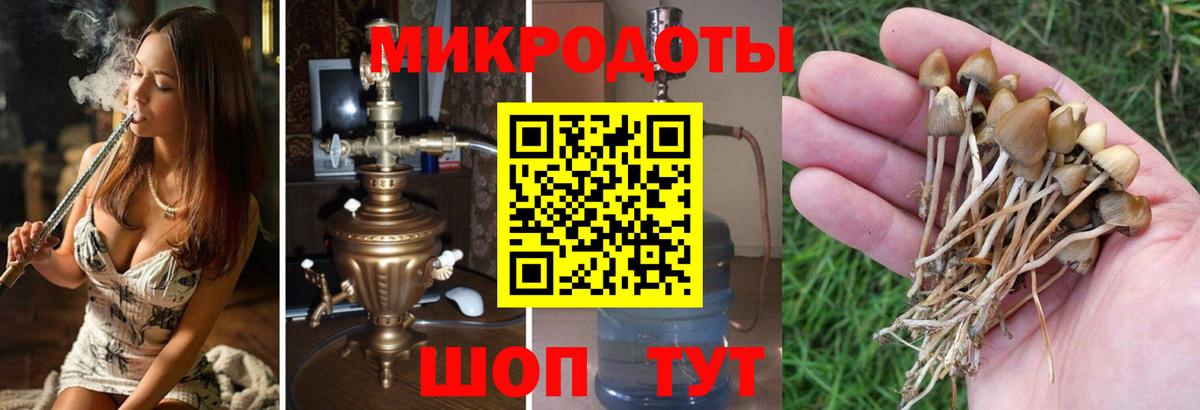 купить наркотик  Псилоцибиновые грибы мицелий  Вход с VPN  Сухой Лог 